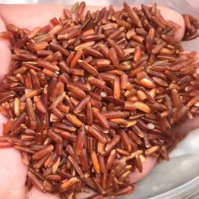 Gạo huyết rồng Điện Biên (10kg)