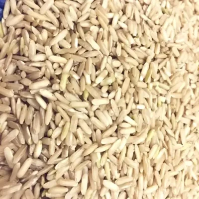 Gạo Lứt Séng Cù hạt dài Tây Bắc (10kg)