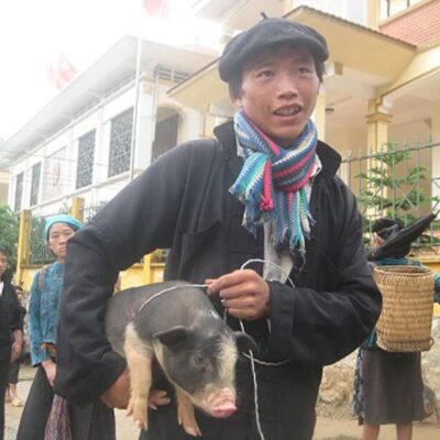 Lợn cắp nách đặc sản Tây Bắc (1kg)