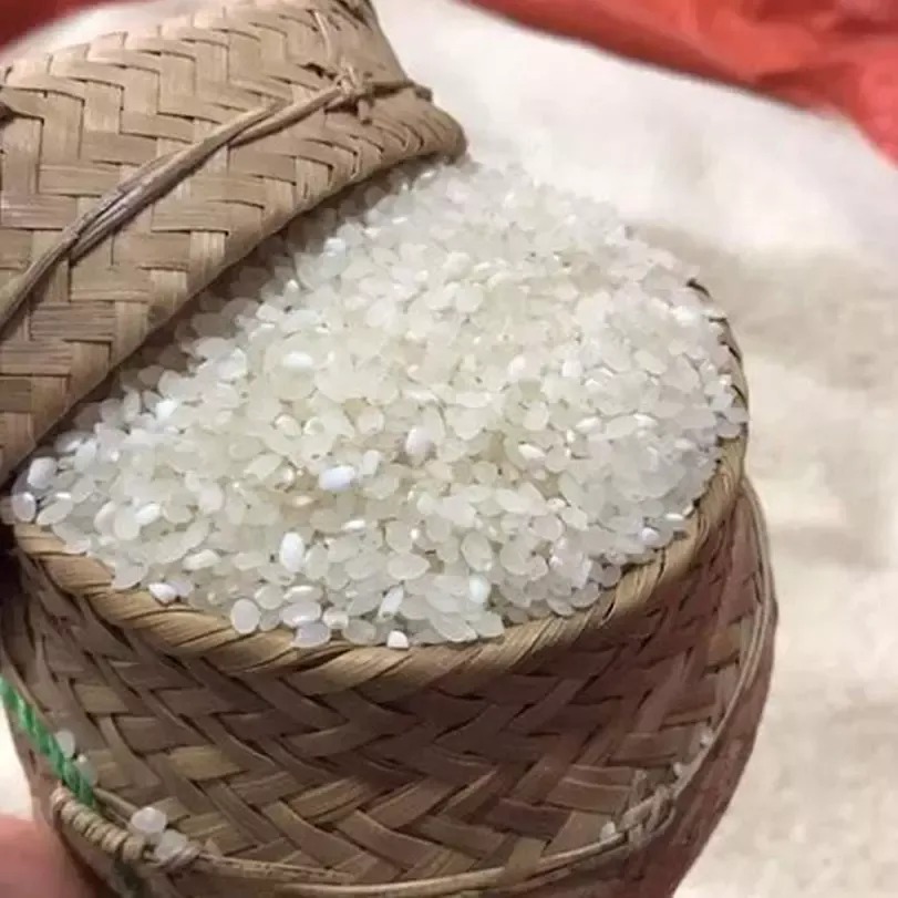 Gạo Nếp Tú Lệ Yên Bái chuẩn (5kg)