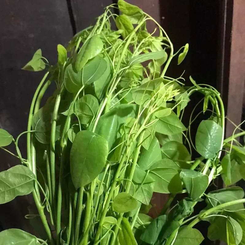 Rau bò khai Tây Bắc (1kg)