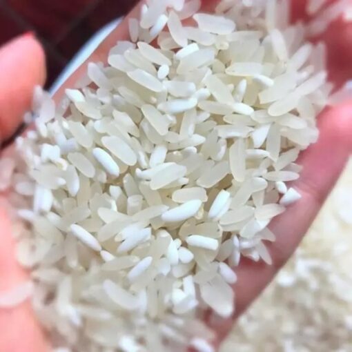 Gạo Nếp Nương Điện Biên (5kg)